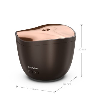 Sharp DF-A1E-T - Abmessungen