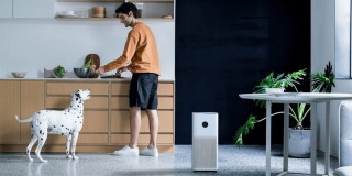 Xiaomi Smart Air Purifier 4 - Luftreiniger-Arrangement