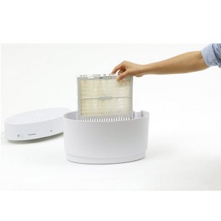 Stylies Carina - Wechsel der Verdunstungsmatte