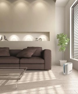 Stylies Mira - Luftbefeuchteranordnung