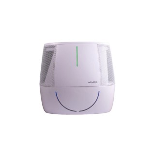 Stylies Antares - Vorderansicht