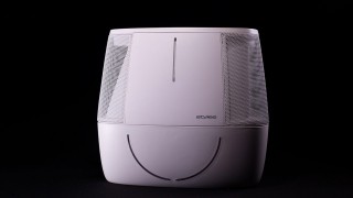 Stylies Antares - Vorderansicht