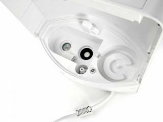 Stylies Leonis - Innenansicht