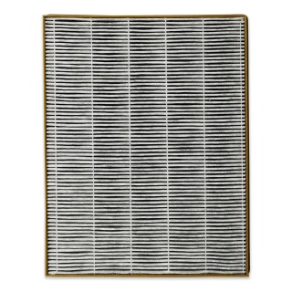 Toshiba CAF-Z123XPL - 5-in-1-Filter