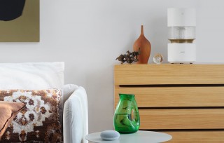 Smartmi Rainforest Humidifier - Platzierung des Befeuchters