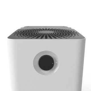 Boneco W300 - oberer Teil des Befeuchters