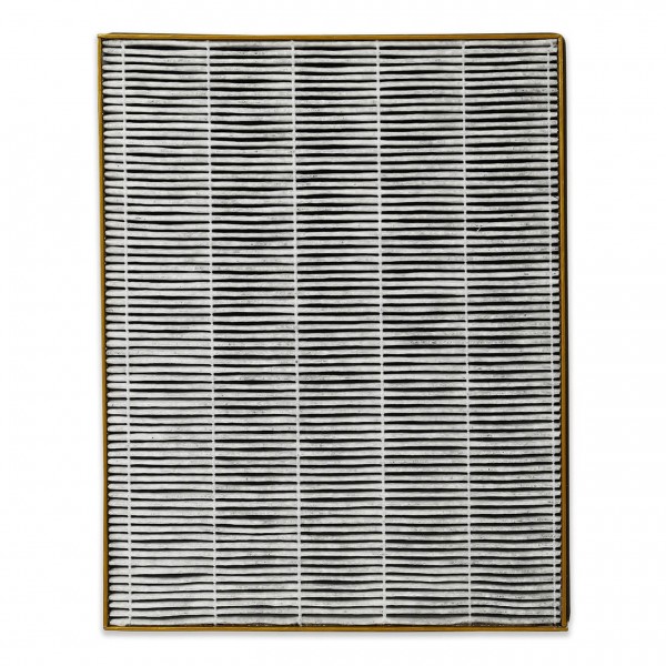 Filter für Luftreiniger TOSHIBA CAF-Z123XPL