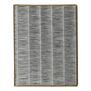 Filter für Luftreiniger TOSHIBA CAF-Z123XPL