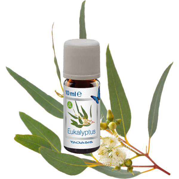 Zubehör für Luftbefeuchter BIO-Öl-Set Venta Taoasis