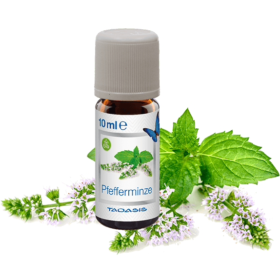 3x10ml – Pfefferminze