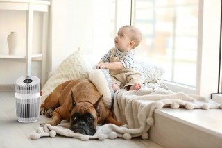 Boneco P230 - Lifestyle-Foto