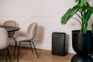 Sharp UA-KIN42E-H - Luftreiniger-Arrangement im Wohnzimmer