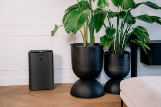 Sharp UA-KIN52E-H - Aufstellung des Luftreinigers im Wohnzimmer