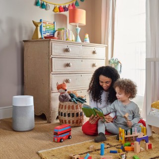 Blueair Blue 511i Max