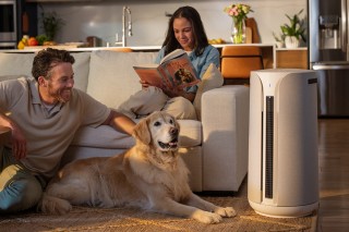 Blueair ComfortPure 3-in-1 T10i