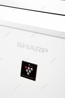 Sharp KI-G75EUW Nahaufnahme des Logos